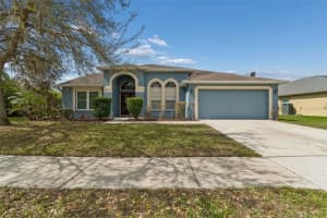5323 Bold Venture Pl, WESLEY CHAPEL