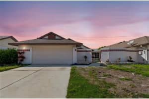 7123 Silvermill Dr, TAMPA