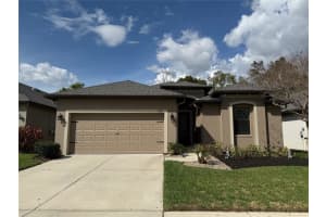 131 Elina Sky Dr, SEFFNER