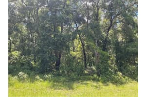 446 N Fitzpatrick Ave, INVERNESS