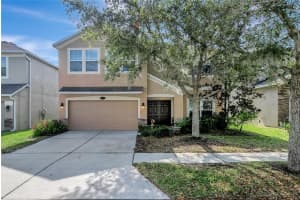 10653 Pictorial Park Dr, TAMPA