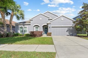 11204 Coventry Grove Cir, LITHIA