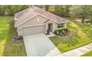 5274 Diantha Way, BROOKSVILLE
