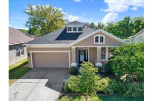 13305 Tiger Lilly Ln, TAMPA