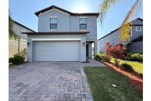 20023 Date Palm Way, TAMPA