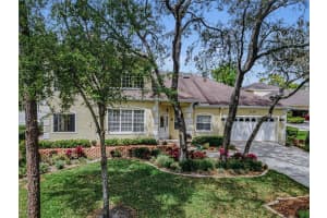 2175 Oak Forest Ln, PALM HARBOR 2175 Oak Forest Ln, PALM HARBOR