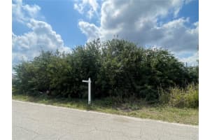 1017/1019 Albany Ave, LEHIGH ACRES