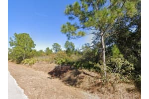 900 Hibiscus Ave, LEHIGH ACRES