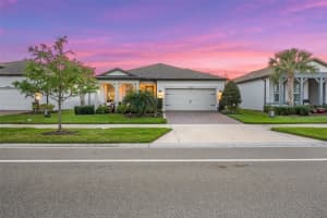 19469 Sea Glass Cir, LAND O LAKES