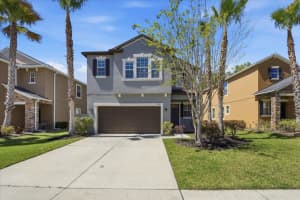 1695 Ludington Ave, WESLEY CHAPEL