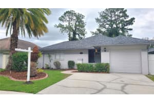 5938 Birchwood Dr, TAMPA