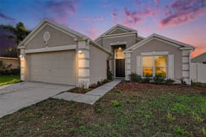12524 Midpointe Dr, RIVERVIEW 12524 Midpointe Dr, RIVERVIEW