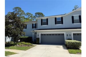 20515 Grand Vista Ln, TAMPA