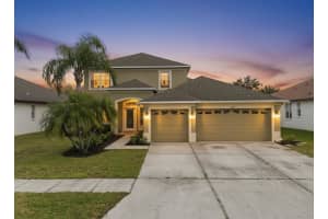 19106 Beatrice Ln, LAND O LAKES