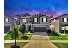 12841 Wildflower Meadow Dr, RIVERVIEW