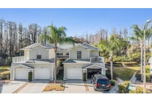 1827 Hammocks Ave #1827, LUTZ