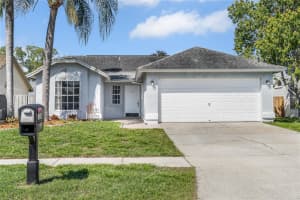 13506 Colorado Pl, TAMPA