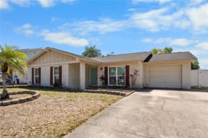 6908 Spanish Moss Cir, TAMPA