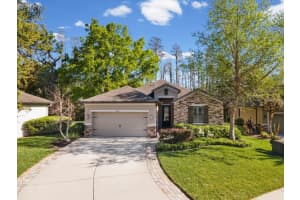 8531 May Port Ct, LAND O LAKES
