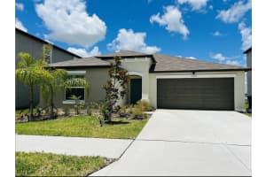 31699 Sun Kettle Loop, WESLEY CHAPEL 31699 Sun Kettle Loop, WESLEY CHAPEL