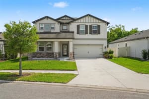 30789 Parrot Reef Ct, WESLEY CHAPEL