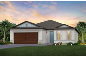 6607 Asbury Barnes Ln, WESLEY CHAPEL