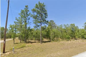 Lot 31 Se 133rd, DUNNELLON