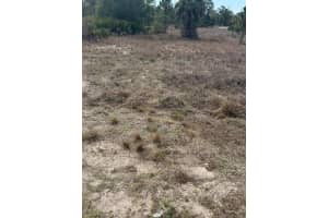 1511 Columbus Ave, LEHIGH ACRES