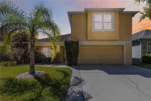 1220 Lake Highview Ln, BRANDON