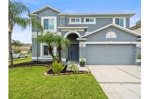 25423 Bruford Blvd, LAND O LAKES