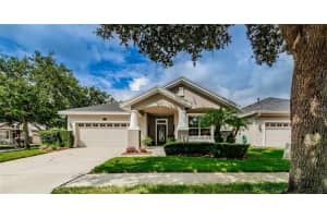 18235 Fall Creek Dr, LUTZ