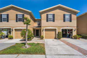 8015 Savannah Sunset Ln, TAMPA