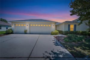5325 Sandy Shell Dr, APOLLO BEACH