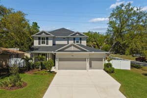 3401 W Pearl Ave, TAMPA