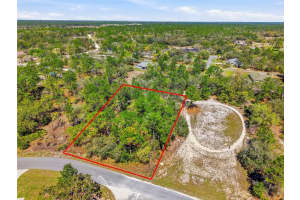 11155 Marsh Wren Ave, WEEKI WACHEE 11155 Marsh Wren Ave, WEEKI WACHEE