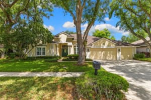 4647 Berwyn Ct, PALM HARBOR