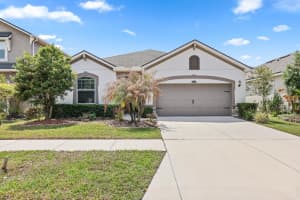 10733 Planer Picket Dr, RIVERVIEW