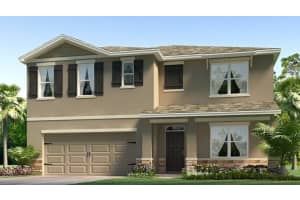 17493 Acorn Drop Rd, LAND O LAKES 17493 Acorn Drop Rd, LAND O LAKES