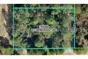 13408 Cormorant Rd, BROOKSVILLE