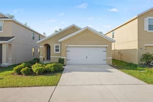 10125 Hawk Storm Ave, TAMPA