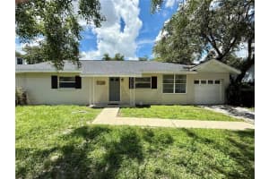 3907 W Mullen Ave, TAMPA
