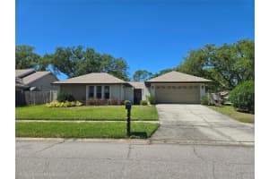 15114 Lynx Dr, TAMPA