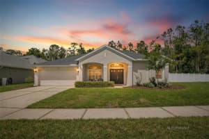 5937 Riva Ridge Dr, WESLEY CHAPEL
