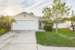 1005 Chandler Snowden Ct, RUSKIN