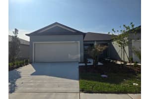 9872 Dancing Goat Pl, LAND O LAKES