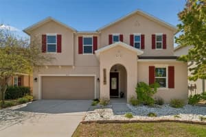 10517 Massimo Drive, WIMAUMA