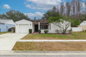 14003 Basin St, TAMPA