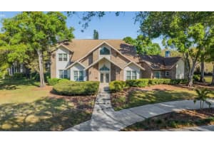 3223 Harvest Moon Dr, PALM HARBOR