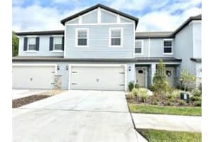 2201 Cerulean Sky Dr, LUTZ