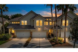 14520 Mirabelle Vista Cir, TAMPA